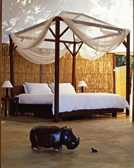 Lodge Gallery: Zambia, Lower Zambezi National Park, Sausage Tree Camp