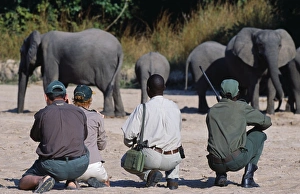 Zambia, South Luangwa National Park