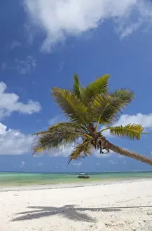 Shade Prints: Zanzibar, Echo Beach. A boat anchored off the calm waters of the East coast of Zanzibar