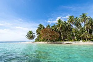 Zapatilla island, Bocas del Toro province, Panama, Central America