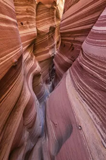 Images Dated 26th April 2022: Zebra Slot Canyon, Grand Staircase National Monument, Utah, USA