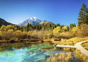 Zelenci Springs, near Kranjska Gora, Slovenia, Europe