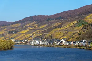 Images Dated 27th November 2018: Zell, Mosel valley, Rhineland-Palatinate, Germany
