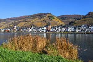 Images Dated 27th November 2018: Zell, Mosel valley, Rhineland-Palatinate, Germany
