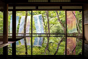 Leaf Prints: Zen like windows on a forest, painted fabrics, backlit, Kyoto, Japan
