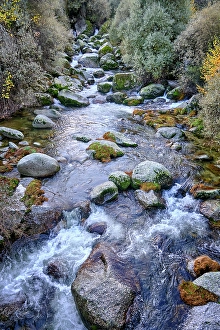 Beira Alta Prints: The Zezere river in Autumn. Manteigas, Serra da Estrela Nature Park. Portugal