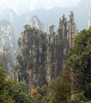 Zhangjiajie National Forest Park, Hunan, China