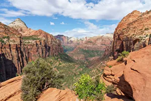 Zion Canyon Overlook, Zion National Park, Washington County, Utah, USA