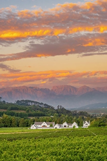 Cape Winelands Prints: Zorgvliet Wine Estate, Stellenbosch, Western Cape, South Africa