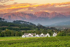 Zorgvliet Wine Estate, Stellenbosch, Western Cape, South Africa