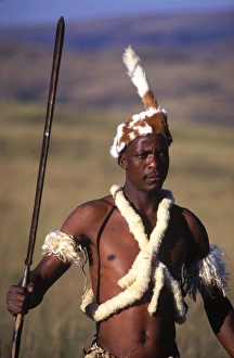 Zulu warrior in traditional dress with fighting
