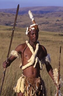Warriors Collection: Zulu warrior in traditional dress with fighting